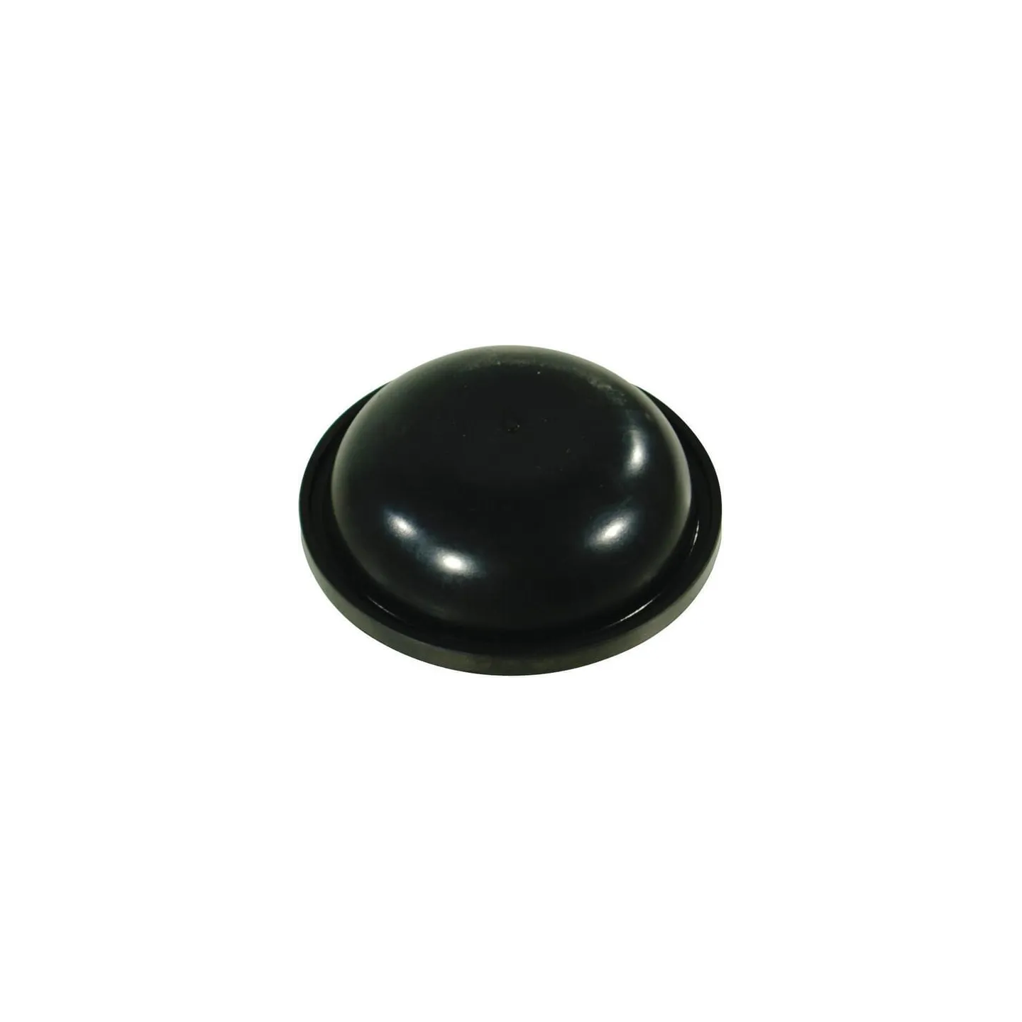 Diaphragm viton  550192 Annovi Reverberi