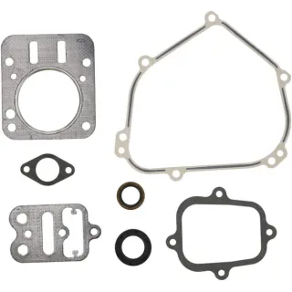 Engine gasket set  555631 Briggs & Stratton