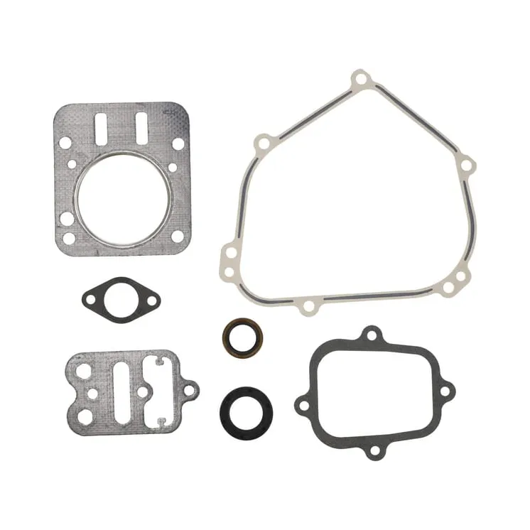Engine gasket set  555631 Briggs & Stratton