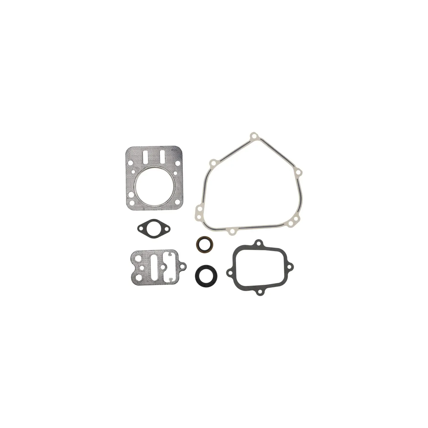 Engine gasket set  555631 Briggs & Stratton