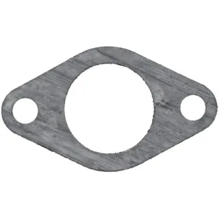Ieplūdes blīve 557044 Briggs & Stratton