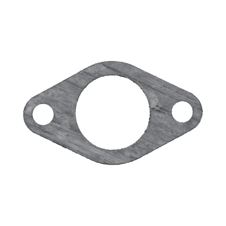 Ieplūdes blīve 557044 Briggs & Stratton