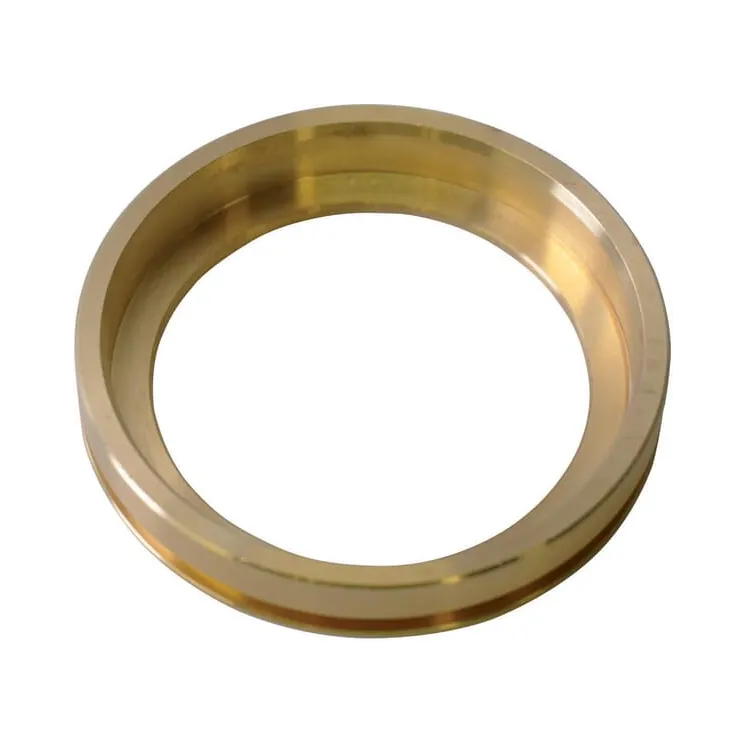 Seal ring  550470 Annovi Reverberi