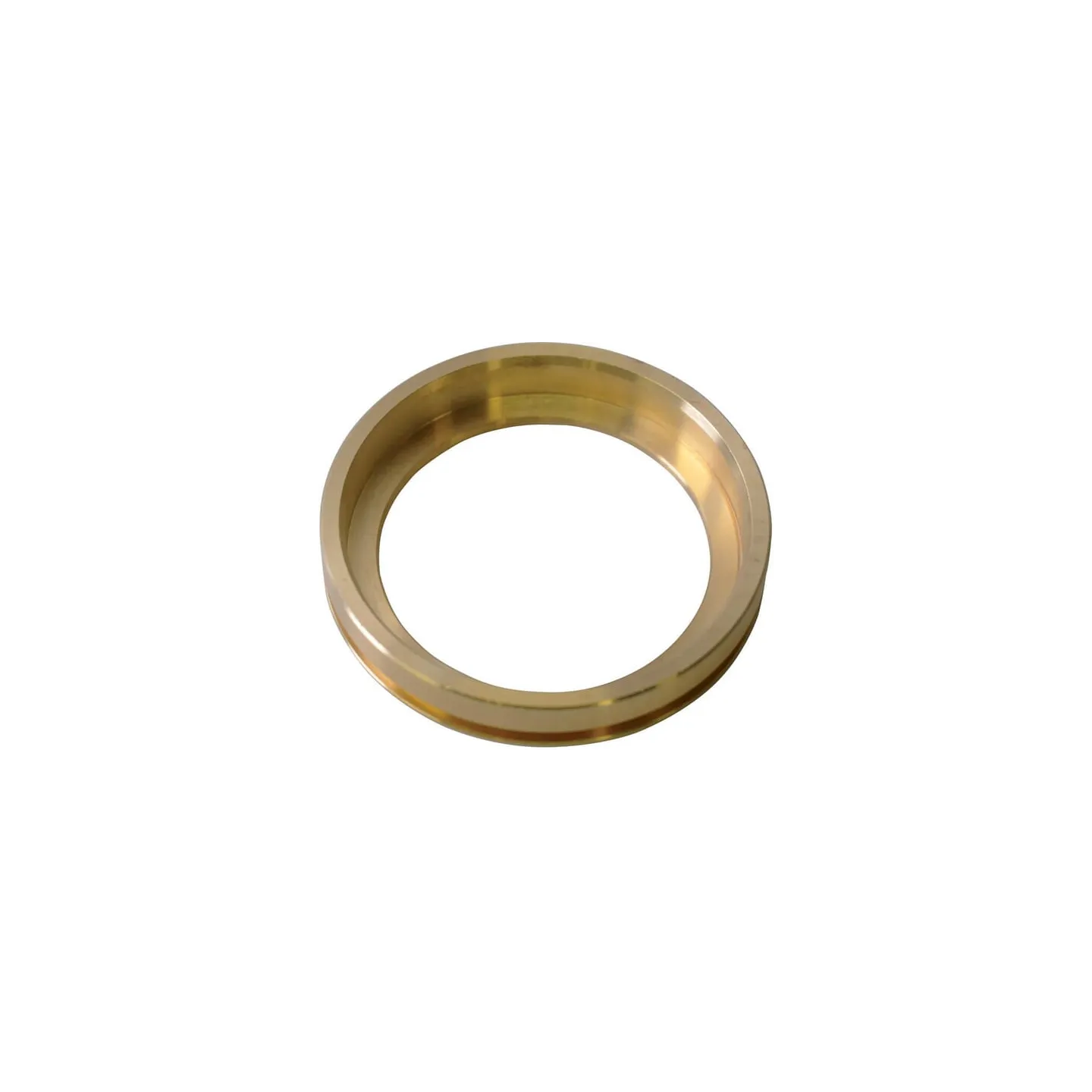 Seal ring  550470 Annovi Reverberi