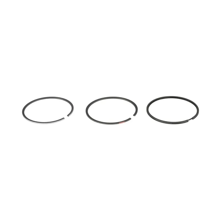 Ring set  555664 Briggs & Stratton