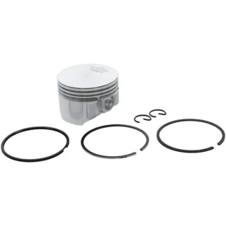Piston assembly  555660 Briggs & Stratton