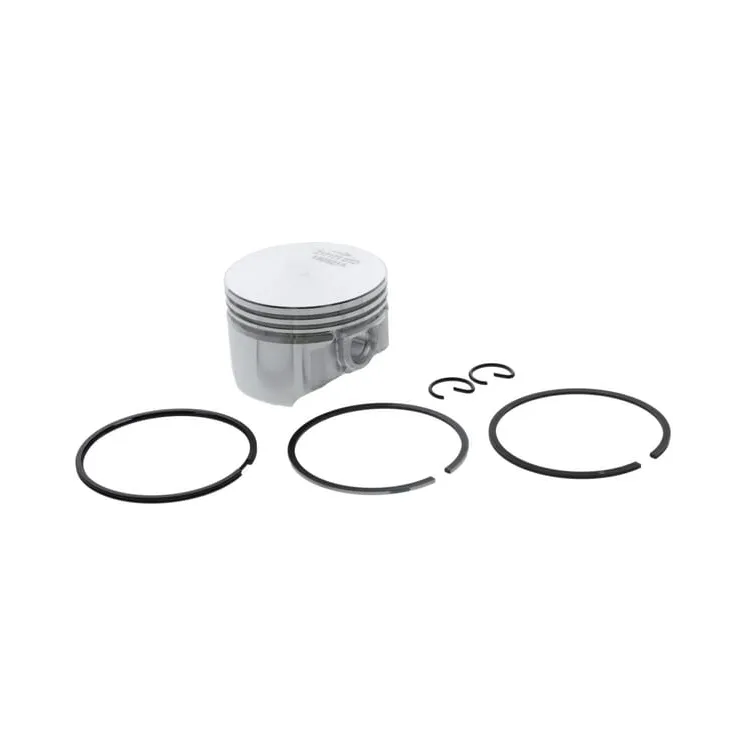 Piston assembly  555660 Briggs & Stratton