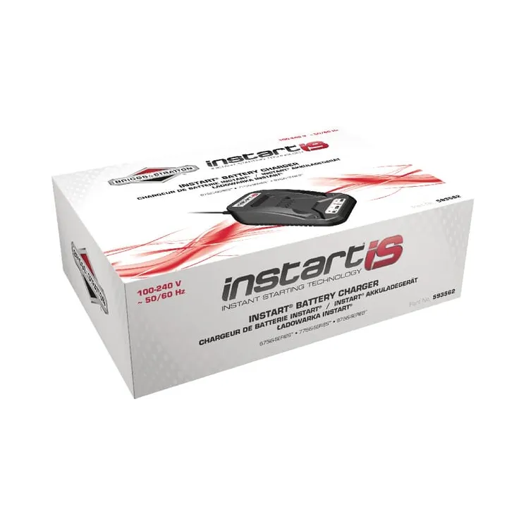 Battery charger, EU version  593562 Briggs & Stratton 593576