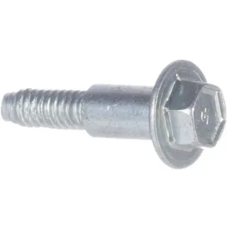 Screw  596718 Briggs & Stratton 697102