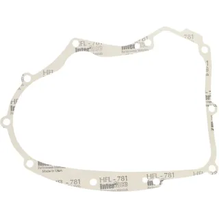 Crankcase gasket  594195 Briggs & Stratton 591911 697227