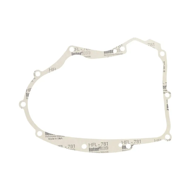 Crankcase gasket  594195 Briggs & Stratton 591911 697227