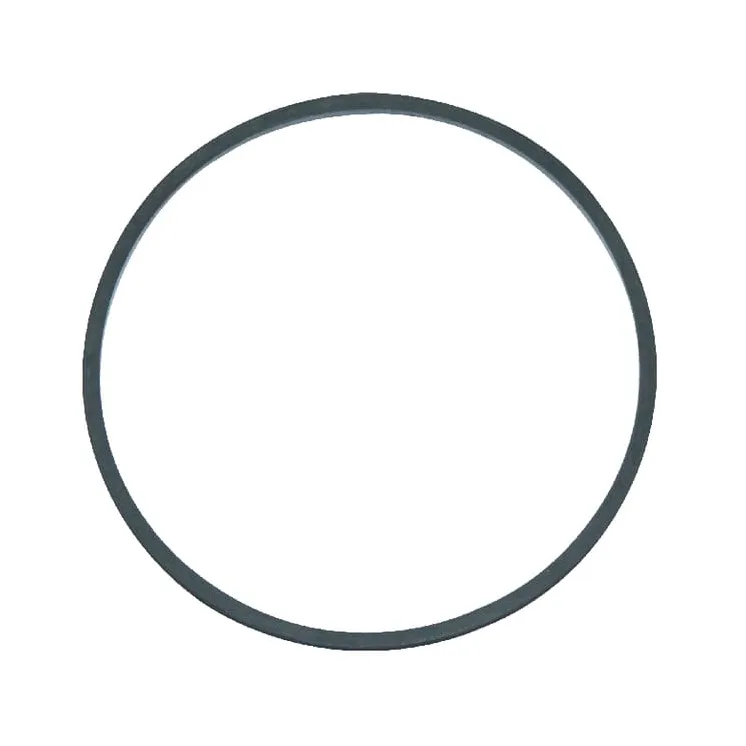 Fuel bowl gasket  597735 Briggs & Stratton