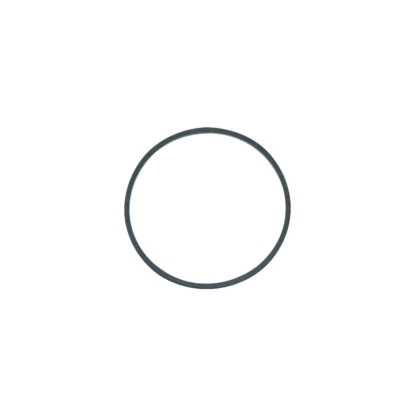 Fuel bowl gasket  597735 Briggs & Stratton