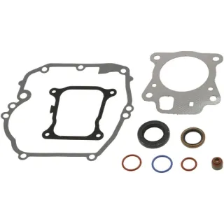 Gasket set-engine  597320 Briggs & Stratton
