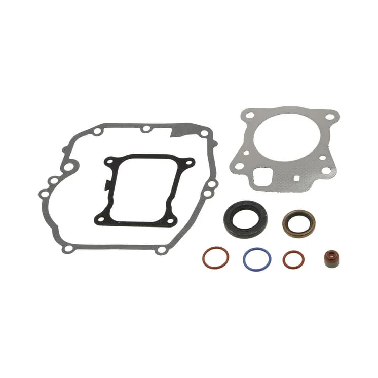 Gasket set-engine  597320 Briggs & Stratton