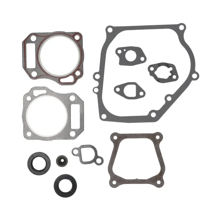 Blīvju komplekts-dzinējs 594951 Briggs & Stratton 591565