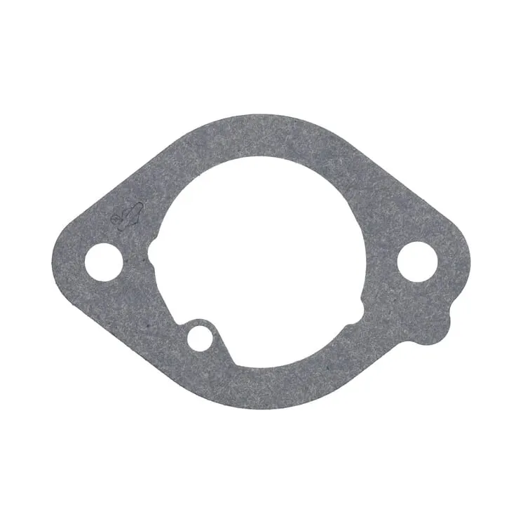 Intake gasket  594203WM Briggs & Stratton