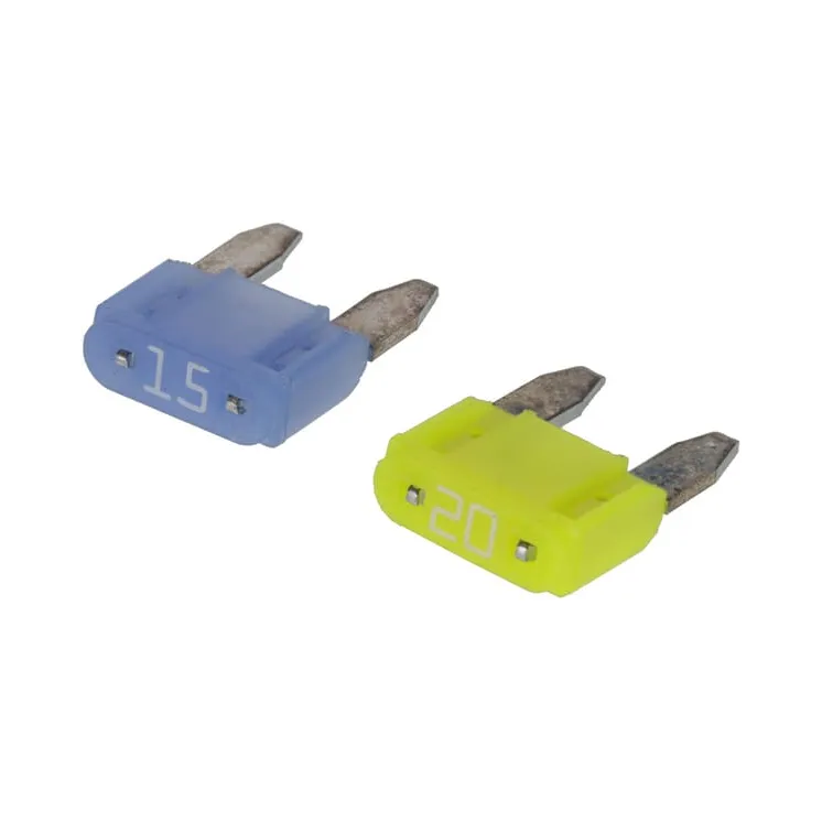 Fuse  593901 Briggs & Stratton