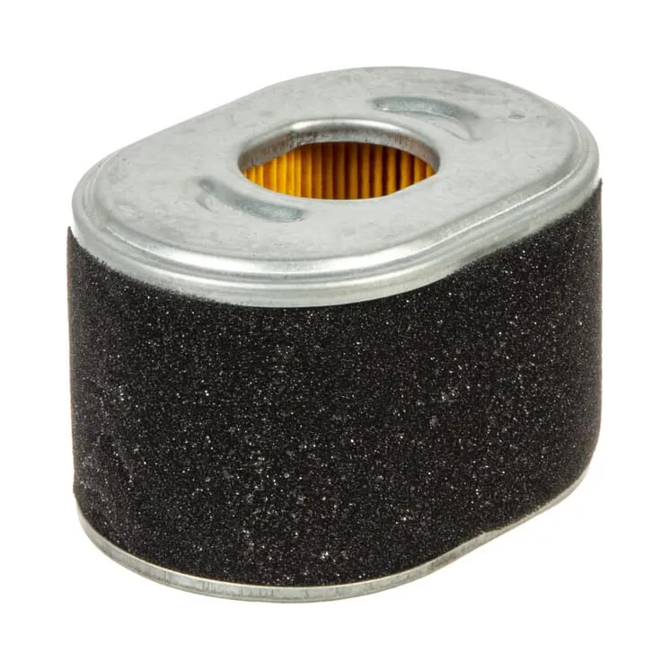 Filter air cleaner  594146 Briggs & Stratton
