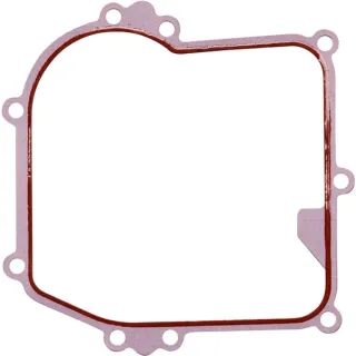 Crankcase gasket  596504 Briggs & Stratton