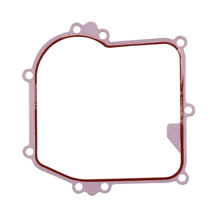 Crankcase gasket  596504 Briggs & Stratton