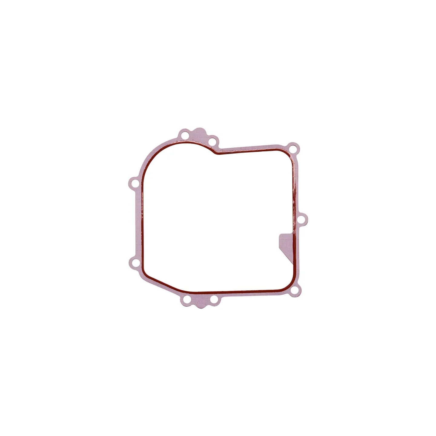 Kartera blīve 596504 Briggs & Stratton