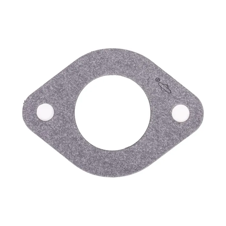 Intake gasket  594204 Briggs & Stratton