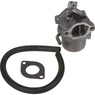 Carburettor  593432 Briggs & Stratton 794653