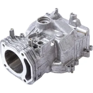 Cylinder head  597120 Briggs & Stratton 592359