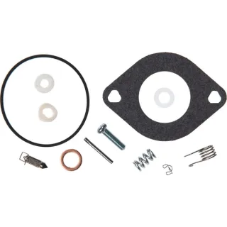 Karburatora kapitālā remonta komplekts 594886 Briggs & Stratton