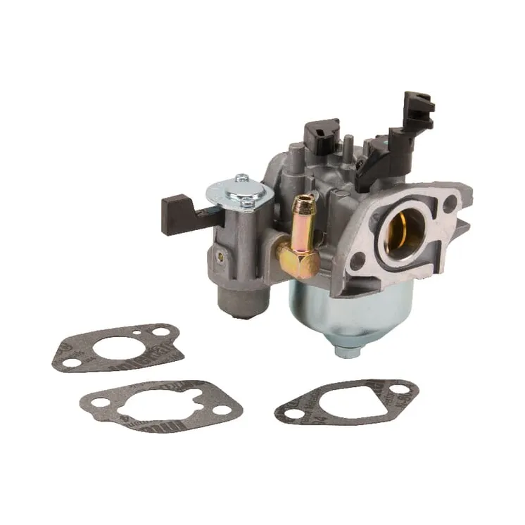 Carburettor  596079 Briggs & Stratton 592864 595780