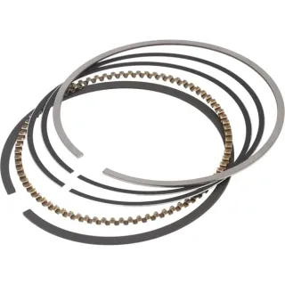 Ring set  592957 Briggs & Stratton