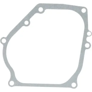 Crankcase gasket  590608 Briggs & Stratton