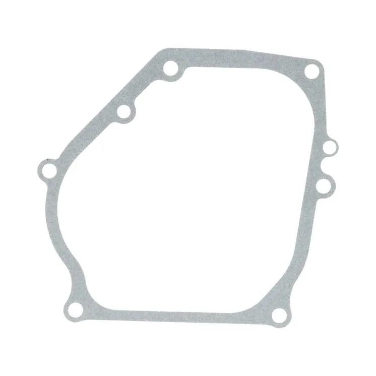 Crankcase gasket  590608 Briggs & Stratton