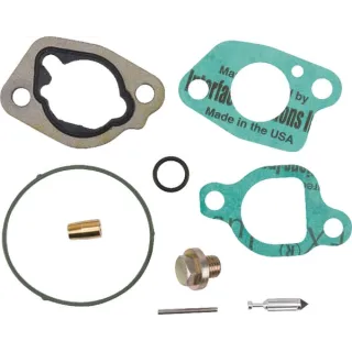 Carburettor overhaul kit  592423 Briggs & Stratton 799661