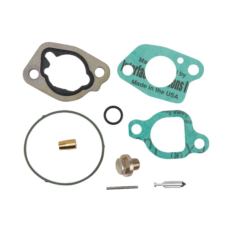 Carburettor overhaul kit  592423 Briggs & Stratton 799661