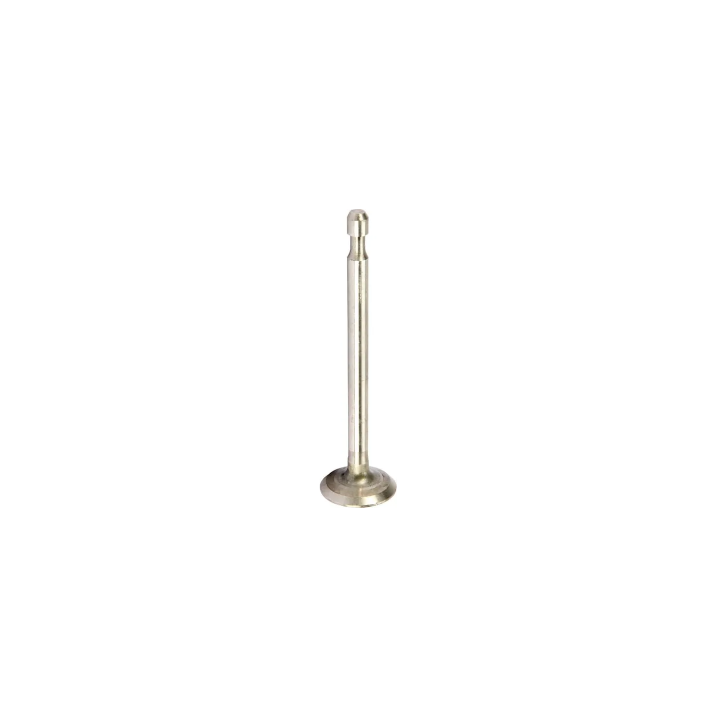 Exhaust valve  590394 Briggs & Stratton 262651S