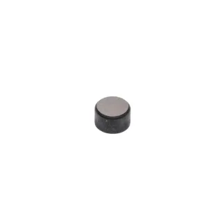 Valve cap  590649 Briggs & Stratton