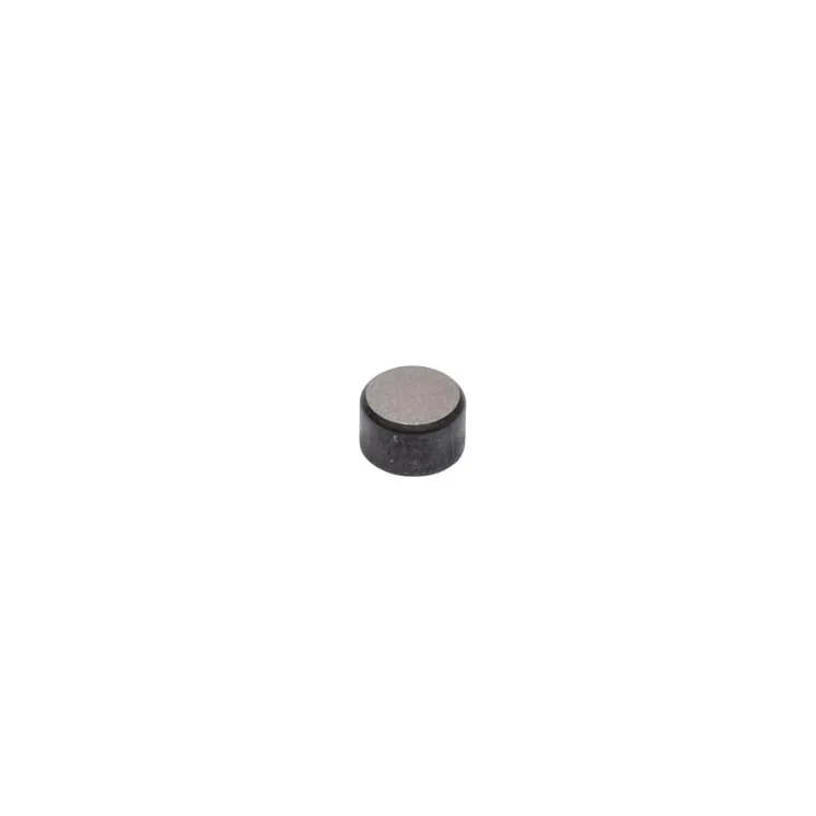Valve cap  590649 Briggs & Stratton