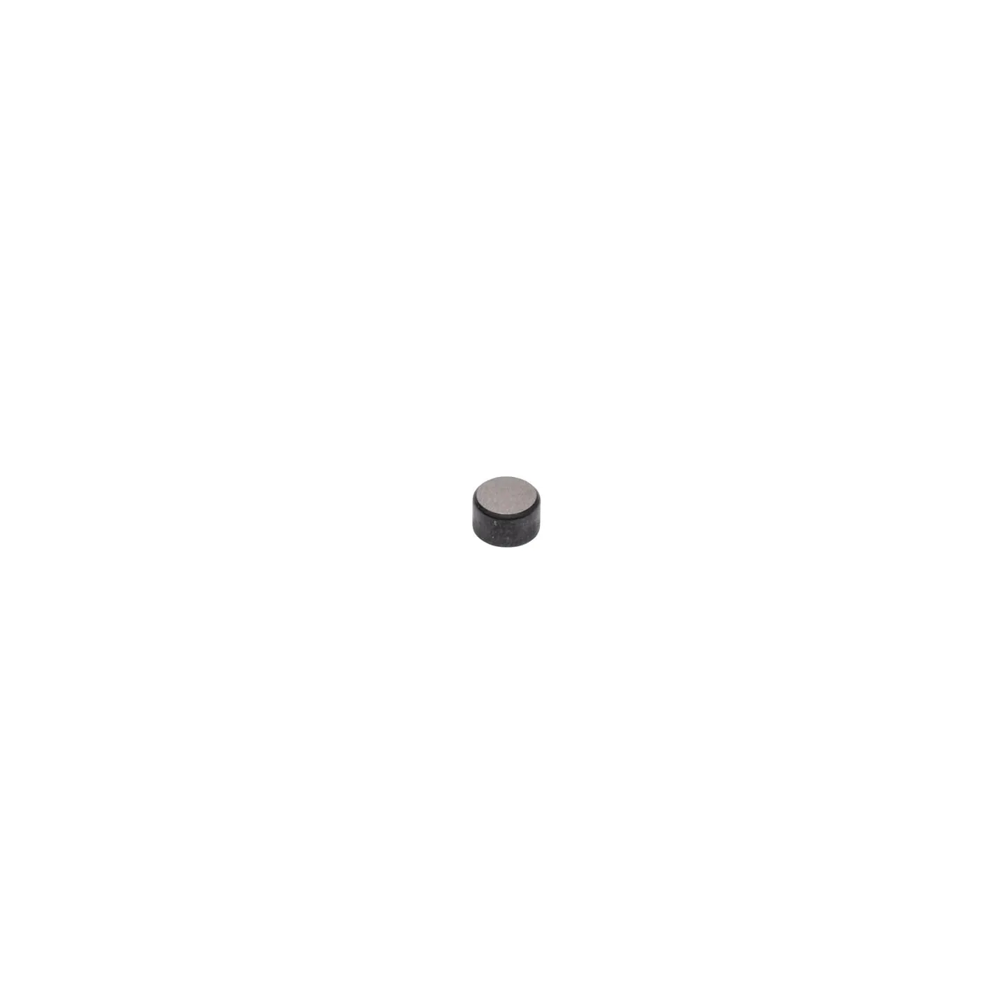 Valve cap  590649 Briggs & Stratton