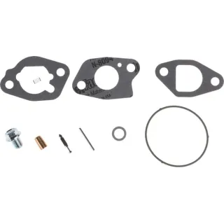 Carburettor overhaul kit  591770 Briggs & Stratton