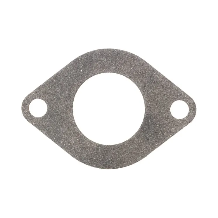 Ieplūdes blīve 590396 Briggs & Stratton