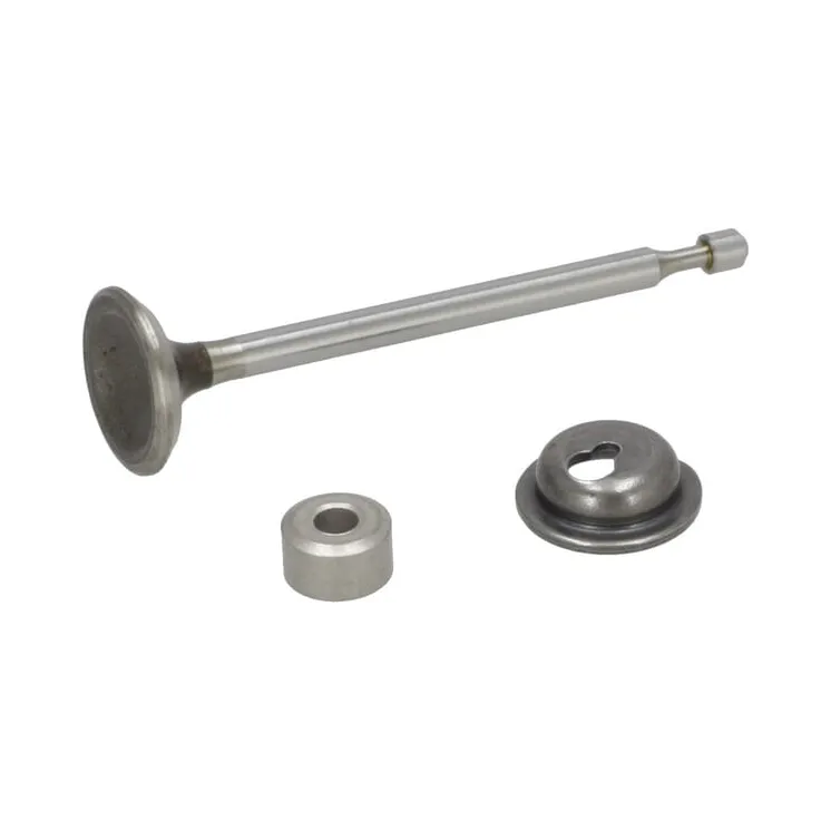 Exhaust valve  590531 Briggs & Stratton