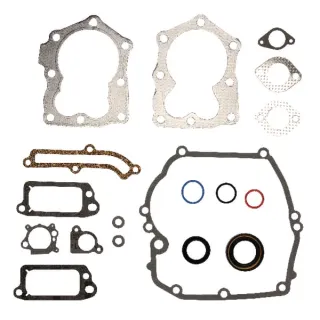 Gasket set  590508 Briggs & Stratton 497316 794307