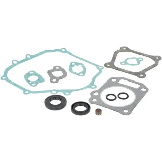 Engine gasket set  591460 Briggs & Stratton