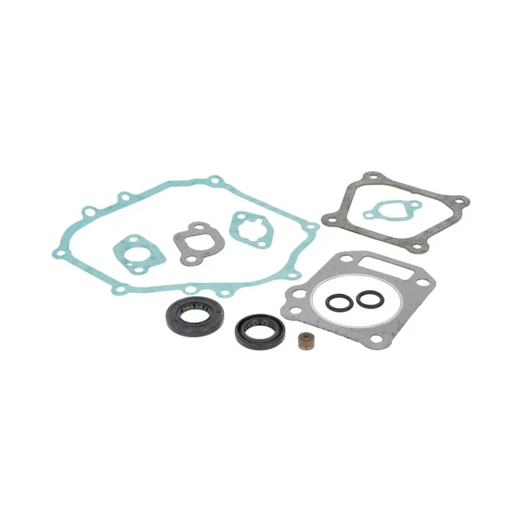 Engine gasket set  591460 Briggs & Stratton