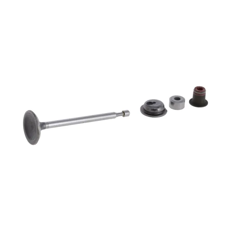 Intake valve  590530 Briggs & Stratton
