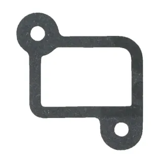 Gasket-intake  590612 Briggs & Stratton