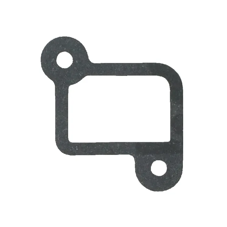 Gasket-intake  590612 Briggs & Stratton