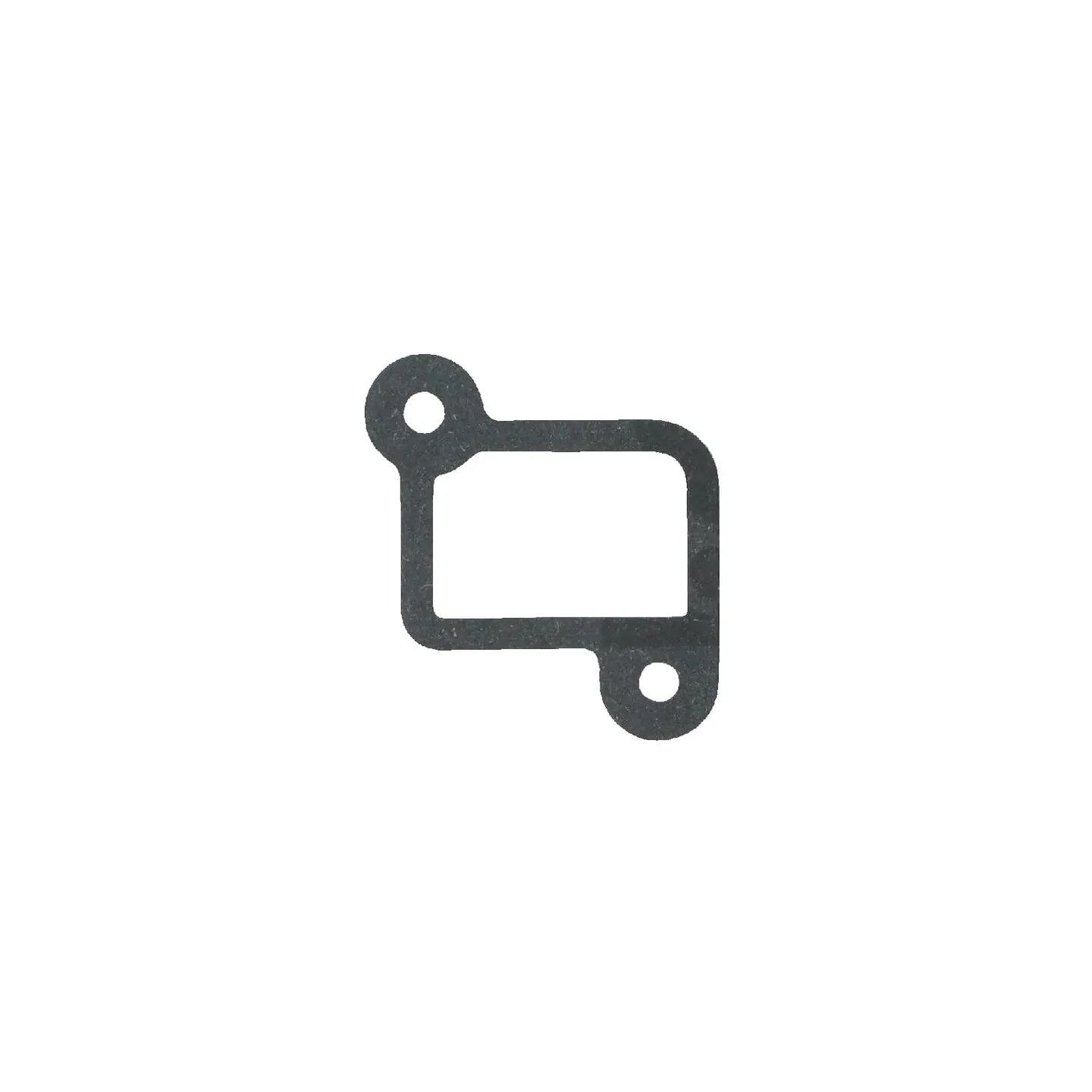 Gasket-intake  590612 Briggs & Stratton